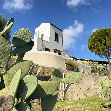 Belvedere Holiday home